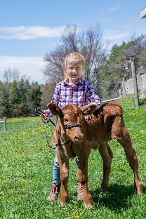 gabby with calf